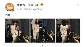 二次元吃瓜娱乐圈,二次元与娱乐圈的跨界吃瓜盛宴